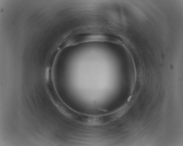 X0000081390070200701111528