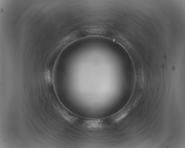 X0000081390089200701111528
