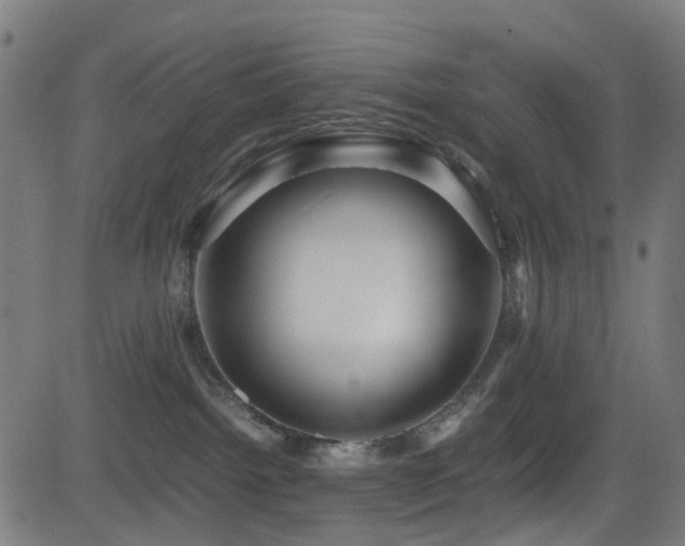X0000081390092200701111528
