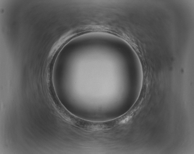 X0000081390103200701111528