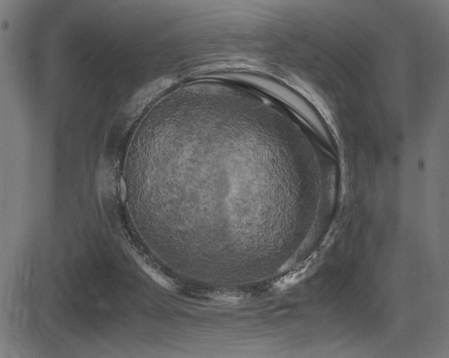 X0000081390105200701111528