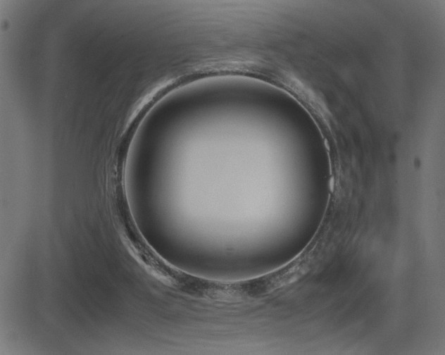 X0000081390107200701111527