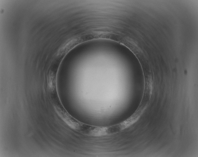 X0000081390138200701111527