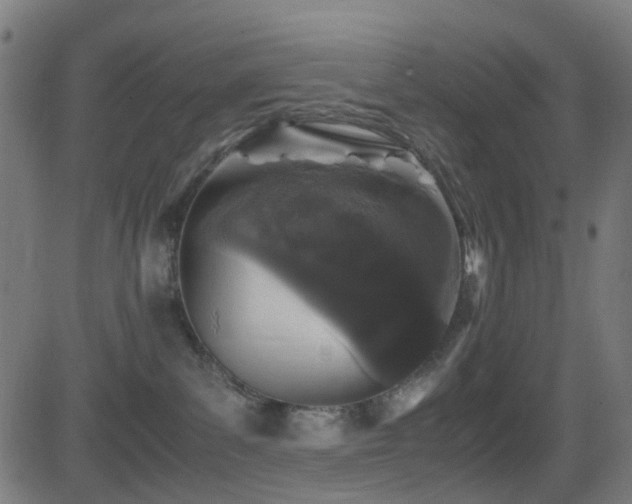 X0000081390139200701111527