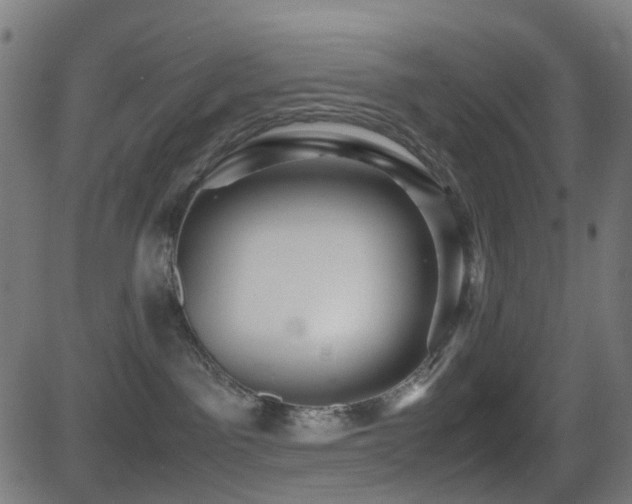 X0000081390141200701111527
