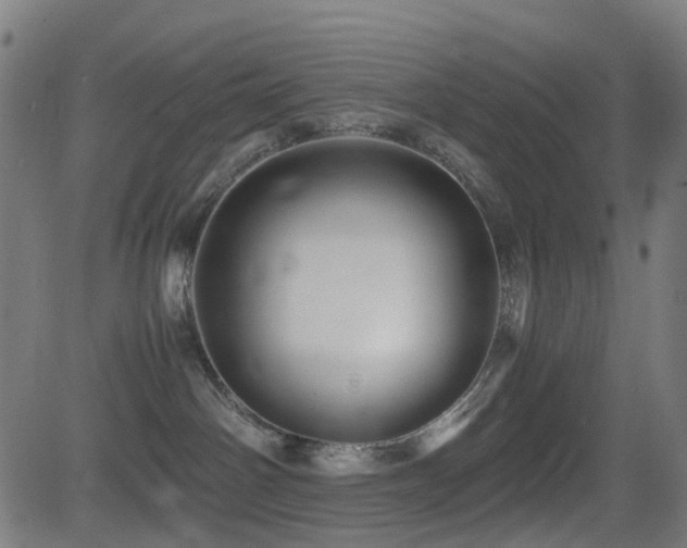 X0000081390142200701111527