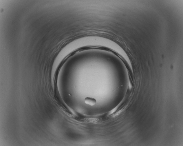 X0000081390143200701111527