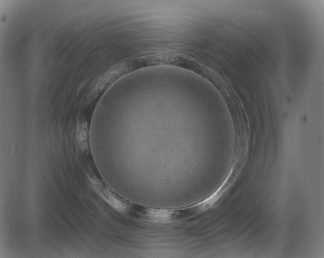 X0000081390144200701111527