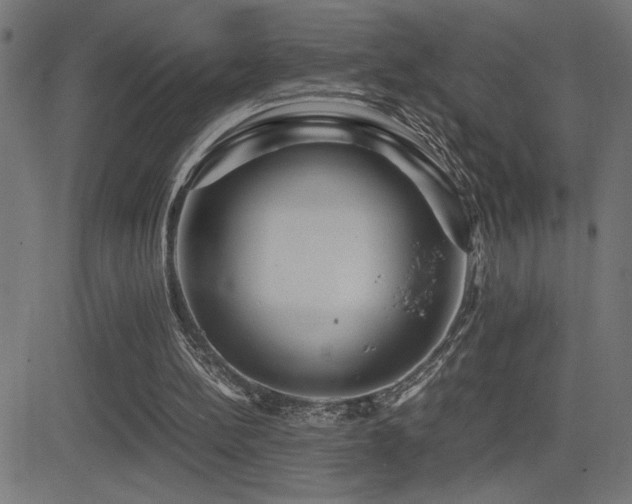 X0000081390148200701111526