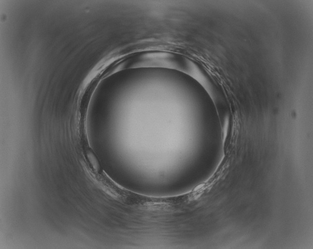X0000081390150200701111526