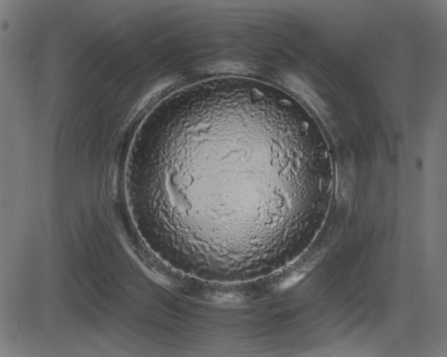 X0000081390157200701111526