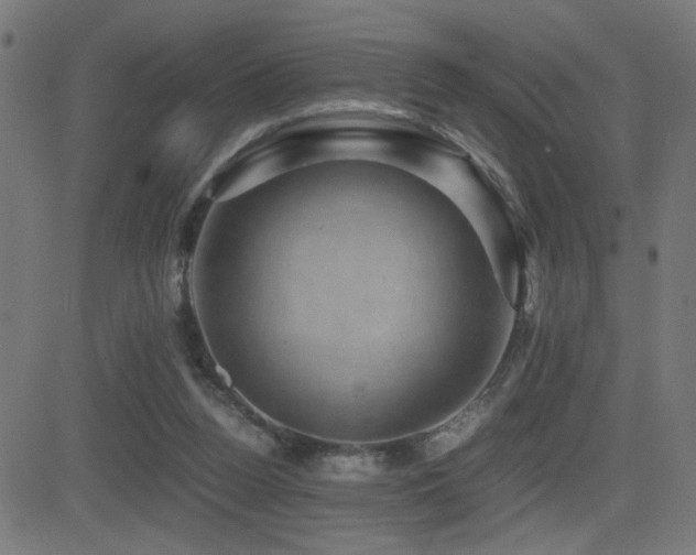 X0000081390160200701111526