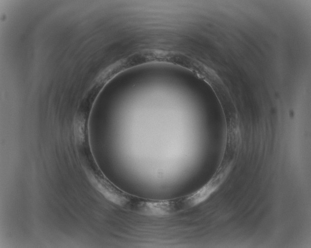 X0000081390188200701111527