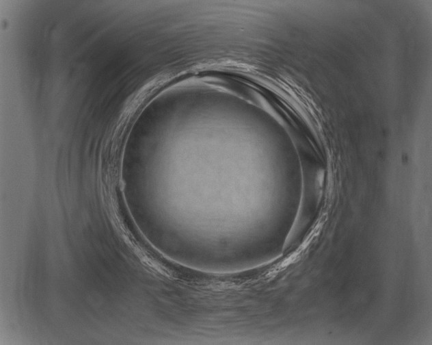 X0000081390193200701111526