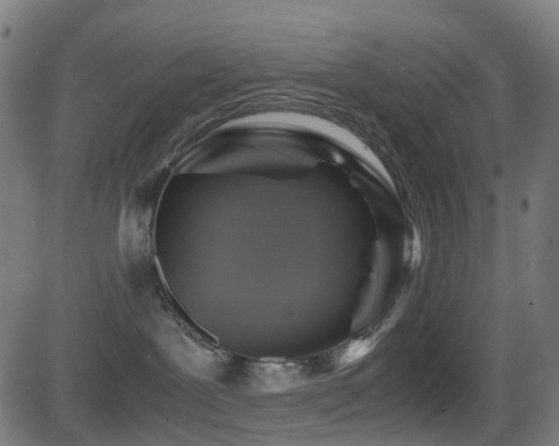 X0000081390239200701111525