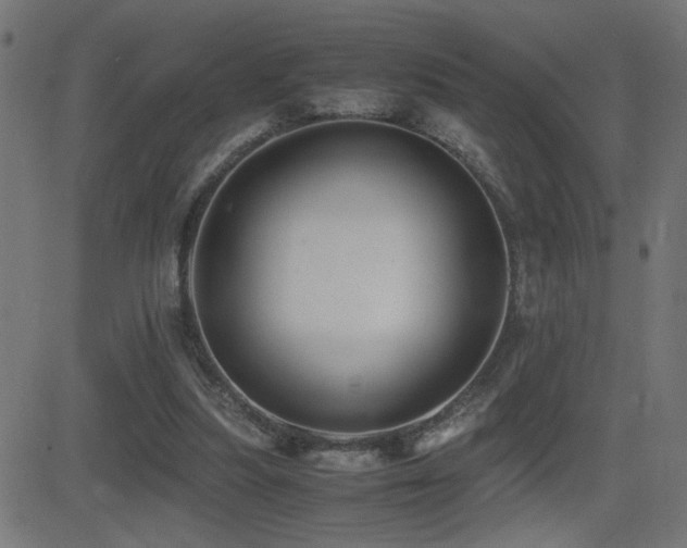 X0000081390251200701111525