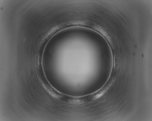 X0000081390253200701111525