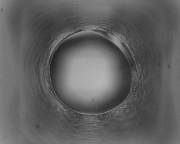 X0000081390289200701111524