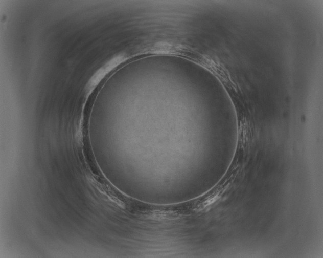 X0000081390292200701111524