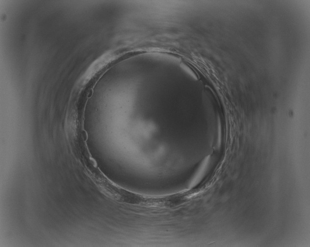 X0000081390295200701111524