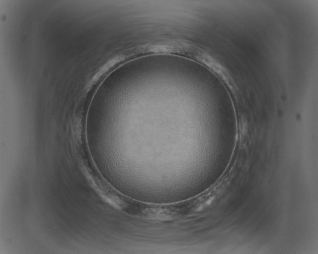 X0000081390297200701111524