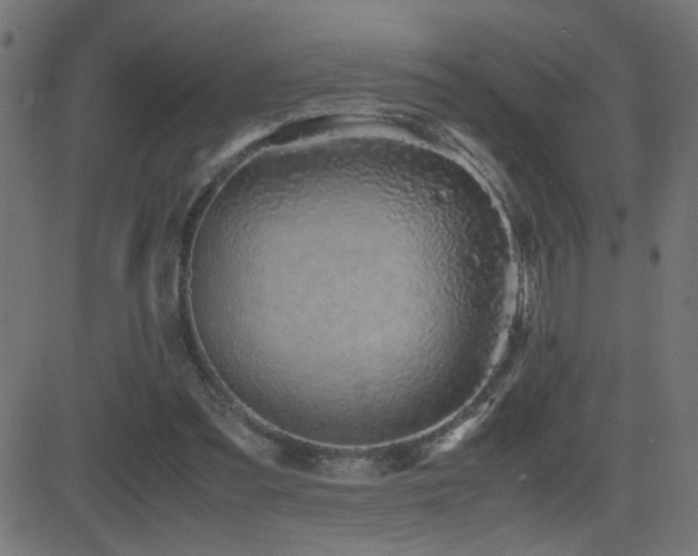 X0000081390301200701111524