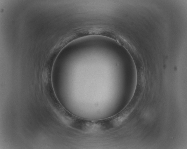 X0000081390311200701111524