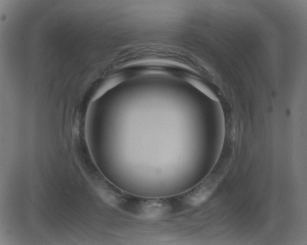 X0000081390315200701111524