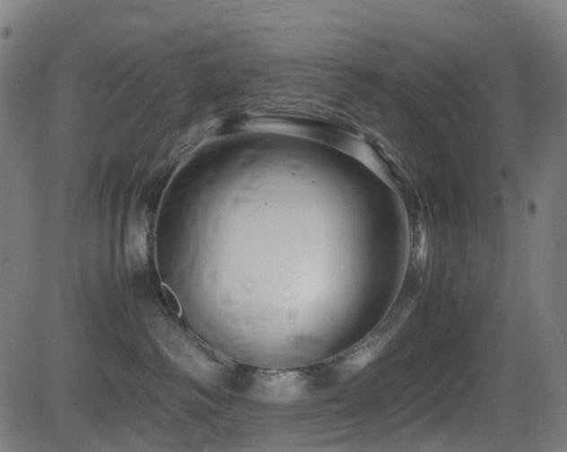 X0000081390334200701111524