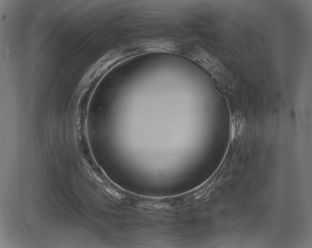 X0000081390339200701111523