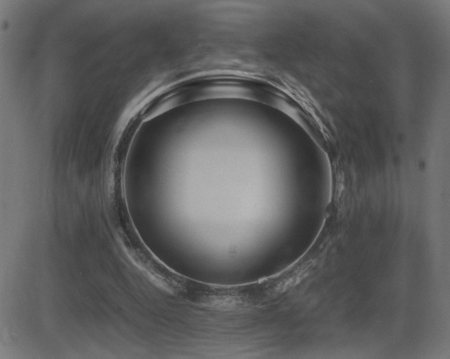 X0000081390344200701111523
