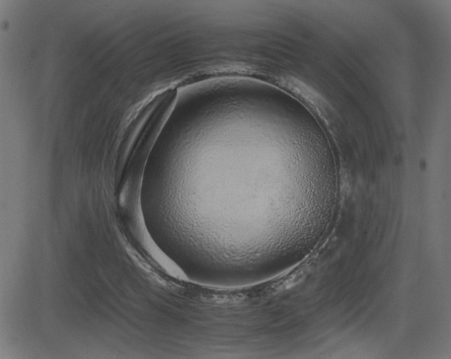 X0000081390345200701111523