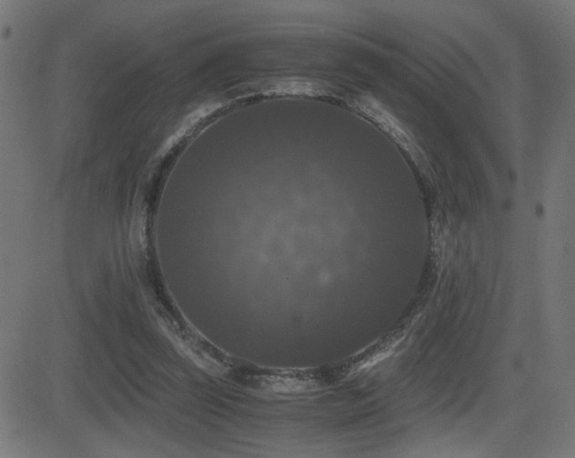 X0000081390347200701111523