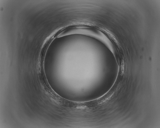 X0000081390388200701111523