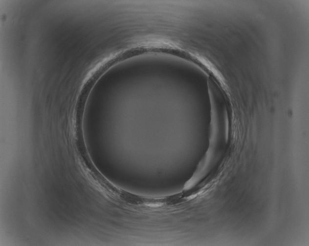 X0000081390391200701111523