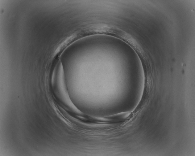 X0000081390397200701111523