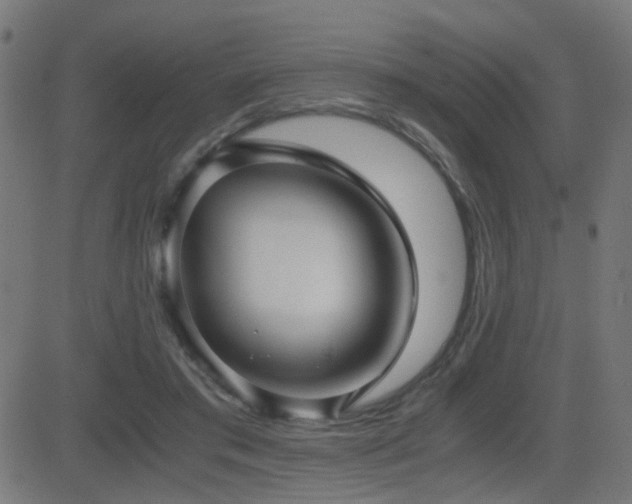X0000081390405200701111523