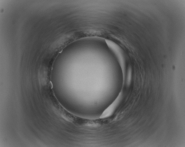 X0000081390416200701111522