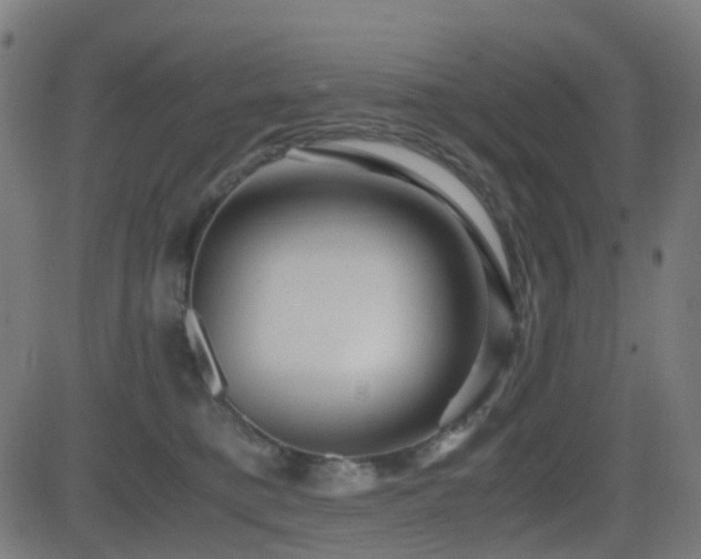 X0000081390421200701111522