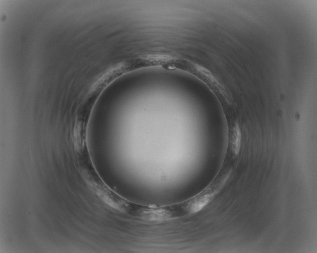 X0000081390428200701111522