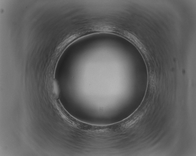 X0000081390433200701111521