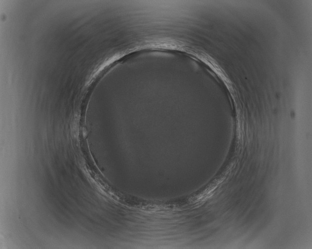 X0000081390434200701111521