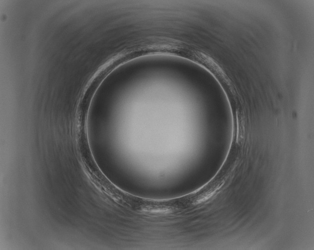 X0000081390435200701111521