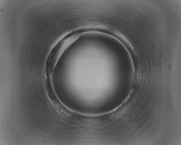X0000081390436200701111521