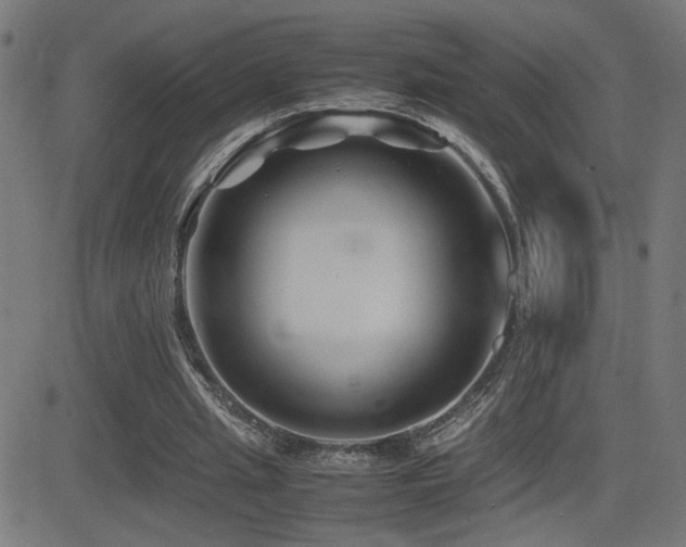 X0000081390437200701111521