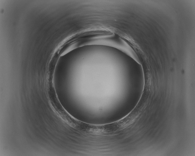 X0000081390440200701111521