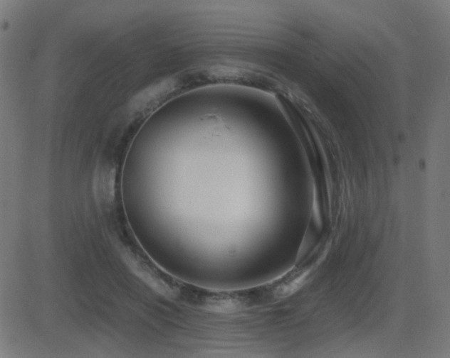 X0000081390454200701111522