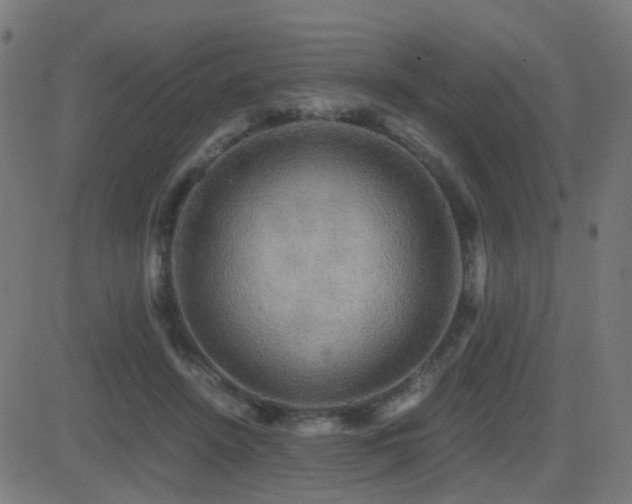 X0000081390456200701111522