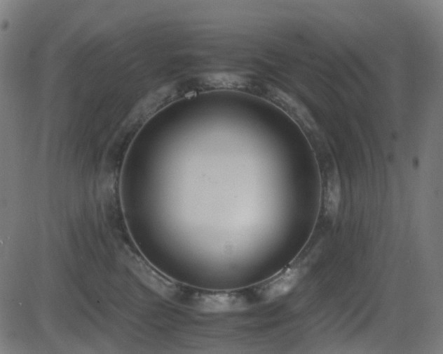 X0000081390473200701111522