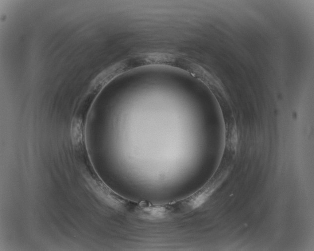 X0000081390478200701111522